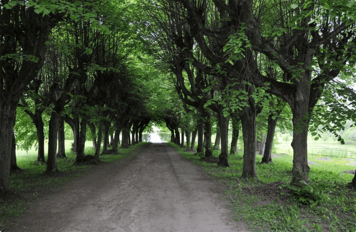 Park